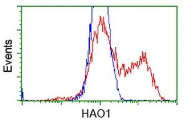 Anti-HAO1 antibody [3E7] used in Flow cytometry (FCM). GTX84392