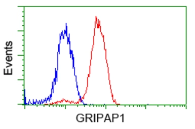Anti-GRASP1 antibody [1E3] used in Flow cytometry (FCM). GTX84410