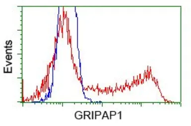 Anti-GRASP1 antibody [2C11] used in Flow cytometry (FCM). GTX84411