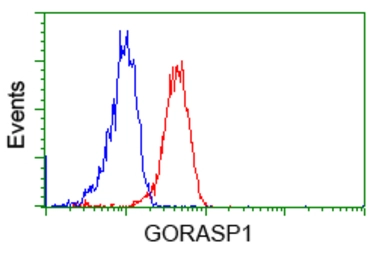 Anti-GRASP65 antibody [5G8] used in Flow cytometry (FCM). GTX84424