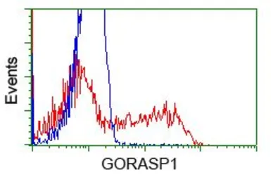 Anti-GRASP65 antibody [5G8] used in Flow cytometry (FCM). GTX84424