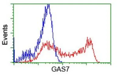 Anti-GAS7 antibody [2F6] used in Flow cytometry (FCM). GTX84462