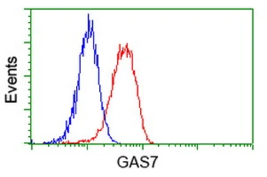 Anti-GAS7 antibody [4E6] used in Flow cytometry (FCM). GTX84465