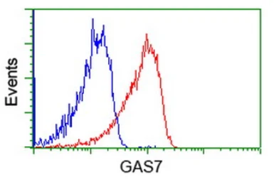 Anti-GAS7 antibody [4E6] used in Flow cytometry (FCM). GTX84465