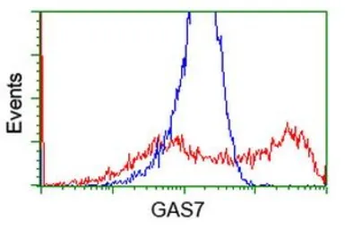 Anti-GAS7 antibody [4E6] used in Flow cytometry (FCM). GTX84465