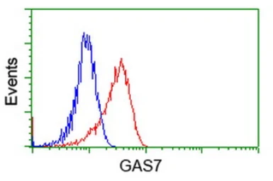 Anti-GAS7 antibody [6G5] used in Flow cytometry (FCM). GTX84466