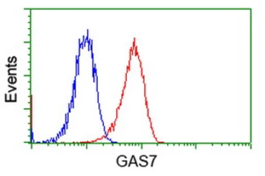 Anti-GAS7 antibody [6G5] used in Flow cytometry (FCM). GTX84466