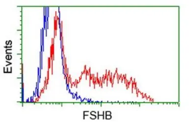 Anti-FSH beta antibody [3A9] used in Flow cytometry (FCM). GTX84474