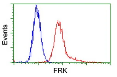 Anti-FRK antibody [5F3] used in Flow cytometry (FCM). GTX84484