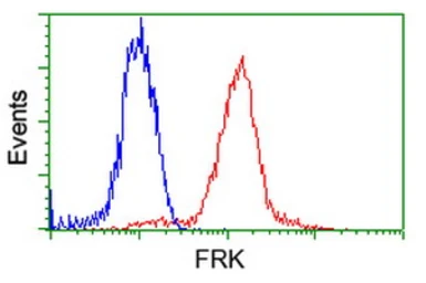 Anti-FRK antibody [5F3] used in Flow cytometry (FCM). GTX84484