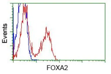 Anti-FOXA2 antibody [3C10] used in Flow cytometry (FCM). GTX84485