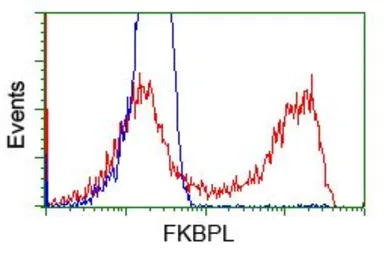 Anti-FKBPL antibody [4G1] used in Flow cytometry (FCM). GTX84490