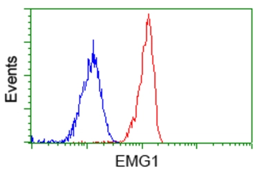 Anti-EMG1 antibody [1B8] used in Flow cytometry (FCM). GTX84576