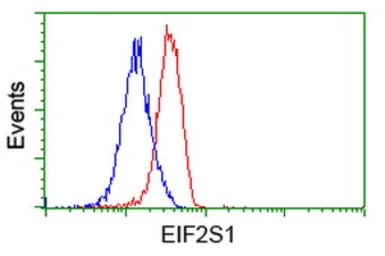 Anti-eIF2 alpha antibody [1H1] used in Flow cytometry (FCM). GTX84582