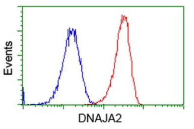 Anti-DNAJA2 antibody [3H10] used in Flow cytometry (FCM). GTX84609