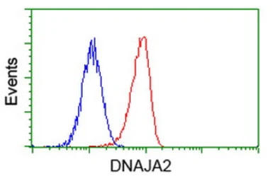 Anti-DNAJA2 antibody [3H10] used in Flow cytometry (FCM). GTX84609