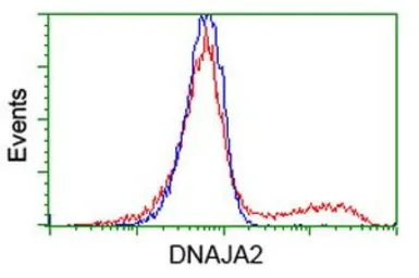 Anti-DNAJA2 antibody [3H10] used in Flow cytometry (FCM). GTX84609
