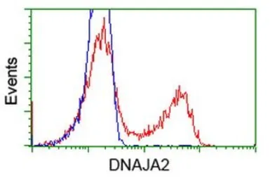 Anti-DNAJA2 antibody [3A1] used in Flow cytometry (FCM). GTX84610