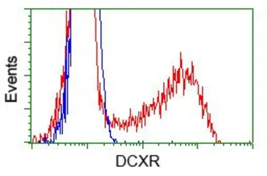 Anti-DCXR antibody [4D11] used in Flow cytometry (FCM). GTX84623