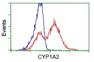 Anti-CYP1A2 antibody [6E2] used in Flow cytometry (FCM). GTX84639