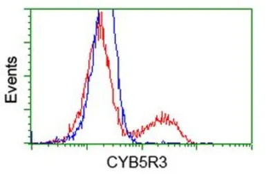 Anti-CYB5R3 antibody [2A10] used in Flow cytometry (FCM). GTX84646