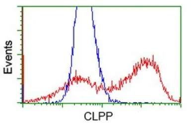 Anti-CLPP antibody [1D3] used in Flow cytometry (FCM). GTX84678