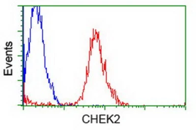 Anti-Chk2 antibody [5C4] used in Flow cytometry (FCM). GTX84691