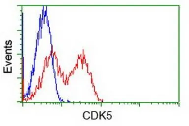 Anti-CDK5 antibody [2H6] used in Flow cytometry (FCM). GTX84696