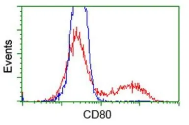 Anti-CD80 antibody [1E9] used in Flow cytometry (FCM). GTX84698