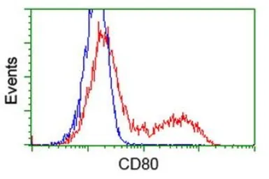 Anti-CD80 antibody [7H3] used in Flow cytometry (FCM). GTX84702