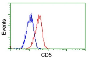 Anti-CD5 antibody [2B8] used in Flow cytometry (FCM). GTX84708