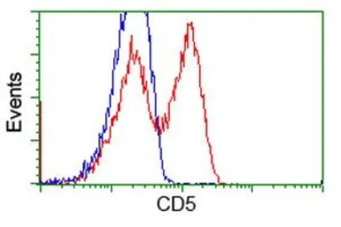 Anti-CD5 antibody [2B8] used in Flow cytometry (FCM). GTX84708