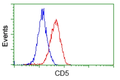Anti-CD5 antibody [7A7] used in Flow cytometry (FCM). GTX84709