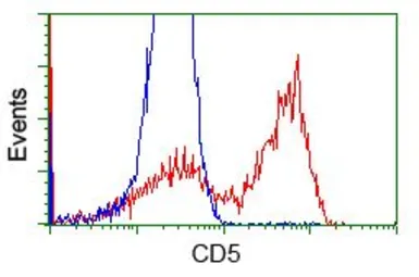Anti-CD5 antibody [7A7] used in Flow cytometry (FCM). GTX84709
