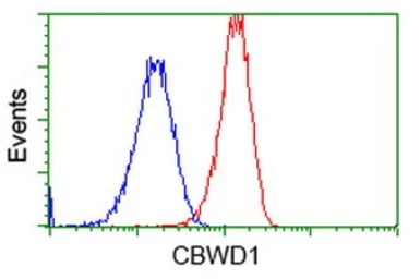 Anti-CBWD1 antibody [4E8] used in Flow cytometry (FCM). GTX84728