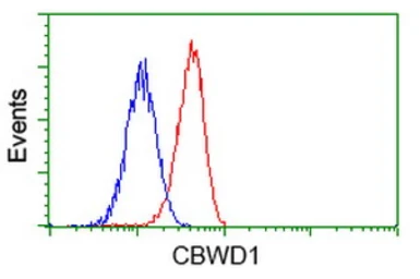 Anti-CBWD1 antibody [4E8] used in Flow cytometry (FCM). GTX84728