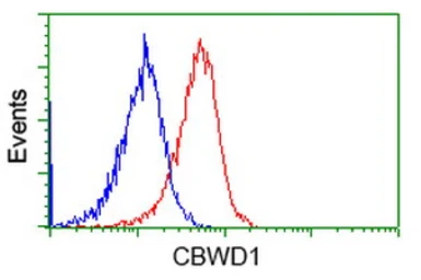 Anti-CBWD1 antibody [3F9] used in Flow cytometry (FCM). GTX84732