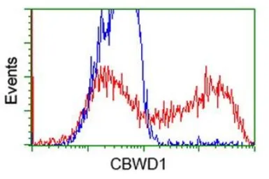 Anti-CBWD1 antibody [3F9] used in Flow cytometry (FCM). GTX84732