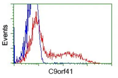 Anti-C9orf41 antibody [6E4] used in Flow cytometry (FCM). GTX84740