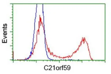 Anti-C21orf59 antibody [2B2] used in Flow cytometry (FCM). GTX84745