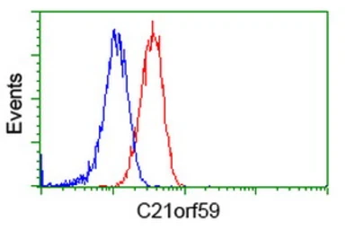 Anti-C21orf59 antibody [2H5] used in Flow cytometry (FCM). GTX84746