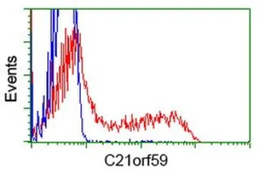 Anti-C21orf59 antibody [2H5] used in Flow cytometry (FCM). GTX84746