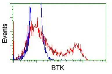 Anti-BTK antibody [3A2] used in Flow cytometry (FCM). GTX84789
