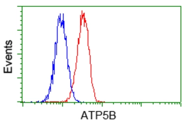 Anti-ATP5B antibody [1B10] used in Flow cytometry (FCM). GTX84845
