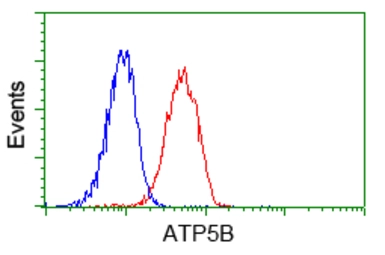 Anti-ATP5B antibody [1B10] used in Flow cytometry (FCM). GTX84845