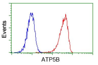 Anti-ATP5B antibody [4E5] used in Flow cytometry (FCM). GTX84849