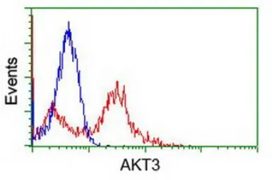 Anti-AKT3 antibody [9B2] used in Flow cytometry (FCM). GTX84906