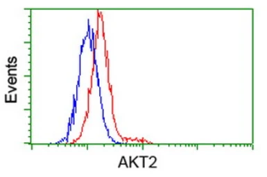 Anti-AKT2 antibody [4H7] used in Flow cytometry (FCM). GTX84908