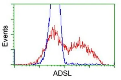 Anti-ADSL antibody [2D10] used in Flow cytometry (FCM). GTX84956