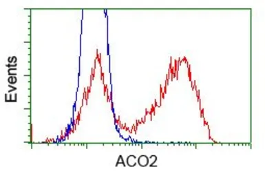 Anti-Aconitase 2 antibody [7G4] used in Flow cytometry (FCM). GTX84965
